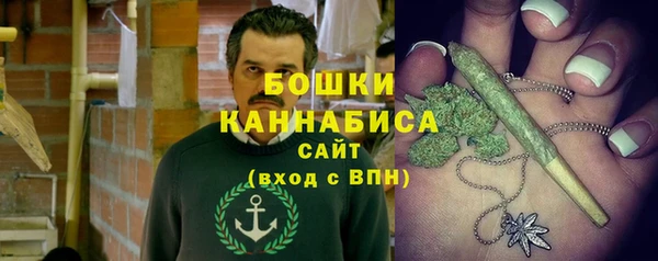 дживик Богданович